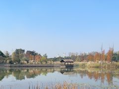 -白鹭湾湿地公园