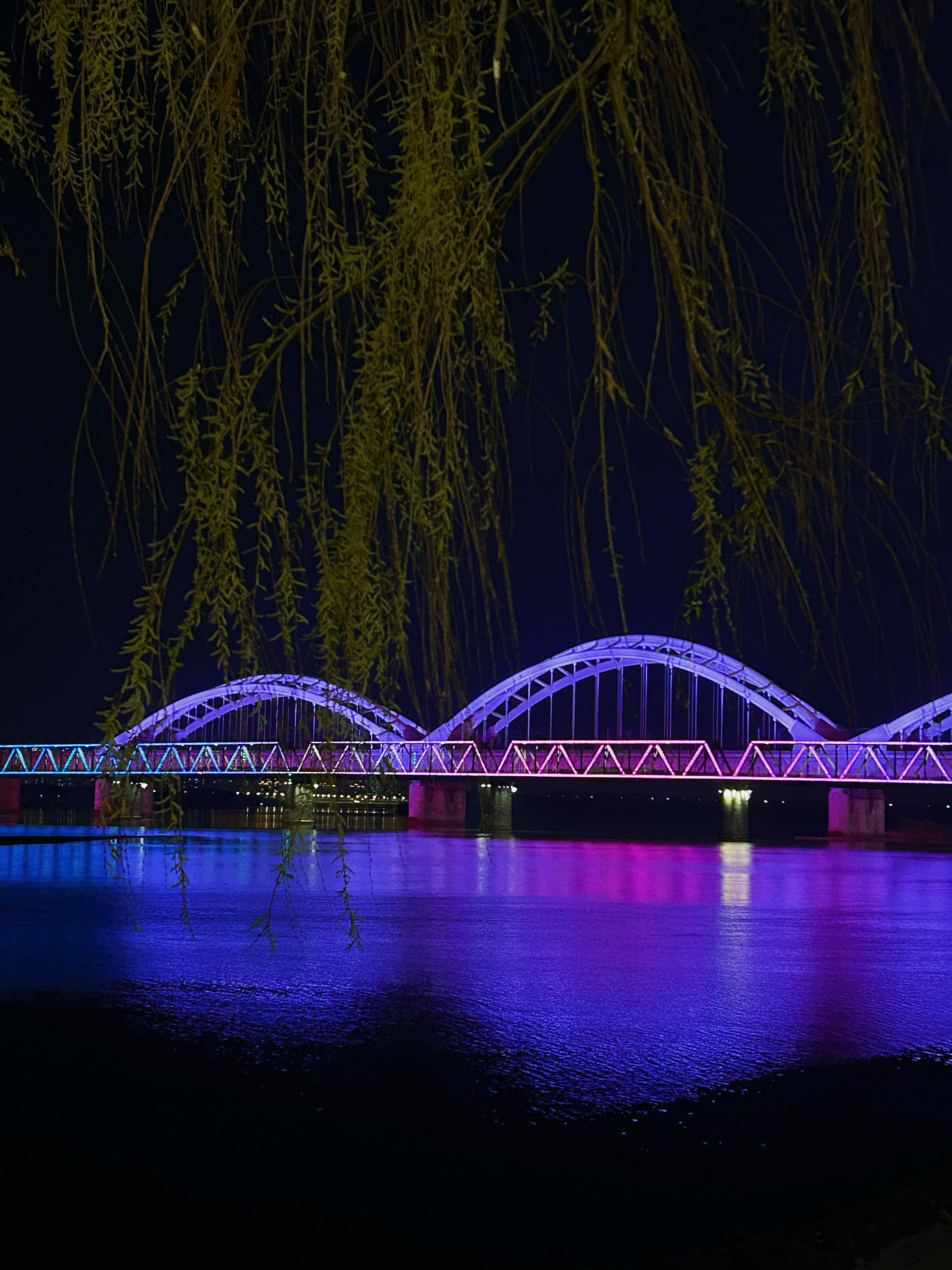 吉林松原图片夜景图片