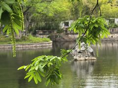 -无锡蠡湖国家湿地公园-蠡园