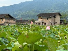 -南靖田螺坑土楼群景区