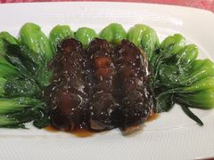 素海参扒菜心-功德林(南京西路店)