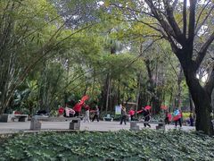 -晓港公园