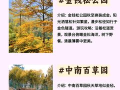 -江南天池