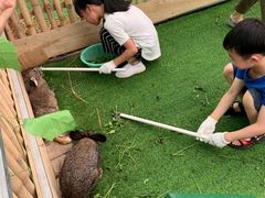 -麻涌飞鸭开心农场