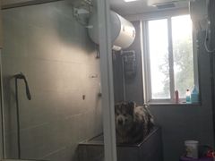 -宠福鑫康馨动物医院·骨科·眼科