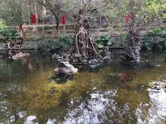 -国恩寺