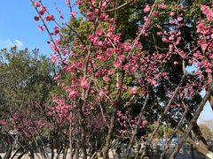 -玄武湖景区-情侣园游乐场