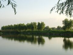 -白渔泡湿地公园