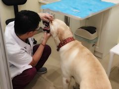 -美迦爱-牙专科·兔科·骨科诊疗中心(北苑店)