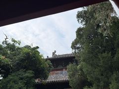 -洛阳白马寺