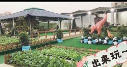 -可可天空农场(中大店)