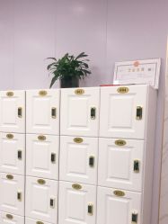 -YESIDO椰岛造型