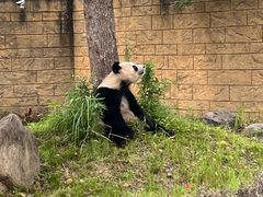 -杭州野生动物世界