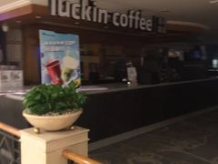 -成都绿洲大酒店(春熙路太古里店)