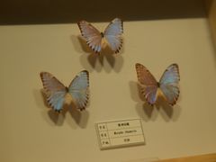 -四川宋瓷博物馆