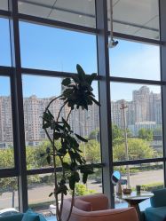 点击看大图 -北京漾格医疗美容医院