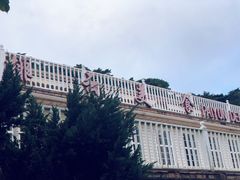 -黄山排云型旅酒店餐厅