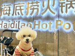 -海底捞火锅(人民广场店)