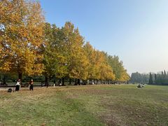 -洛阳市隋唐城遗址植物园