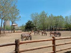 -大连森林动物园