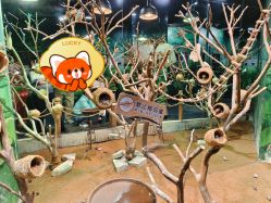 -Zoolung Zoolung动物主题公园(海信广场店)