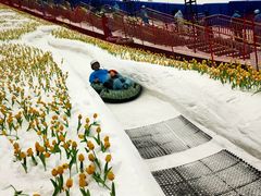 -广州热雪奇迹