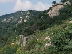 -大岭沟猕猴桃谷风景区