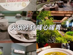 -滇铺子·云南特色菜·第九届野生菌美食节(曲靖万达店)