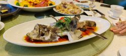 -空中一号·宴会厅(信合大厦店)