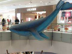 -凯德广场(学府店)