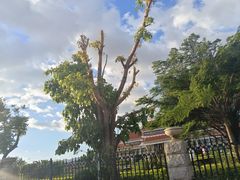 -中国闽台缘博物馆