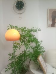 -变美丽半永久纹眉连锁·机器野生眉•洗眉