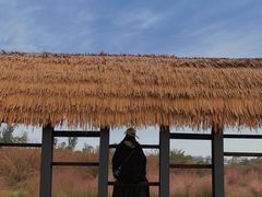 -白鹭湾湿地公园