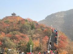 -狼牙山风景区