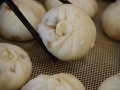 -桐香园小笼包(百井坊巷店)