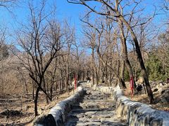 -阳台山自然风景区