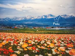 -富田农场