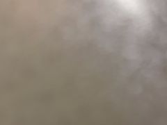 -大湾区中央湿地公园