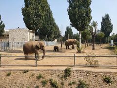 -石家庄市动物园