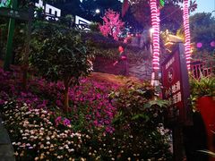 -枇杷园食为鲜火锅(南山店)