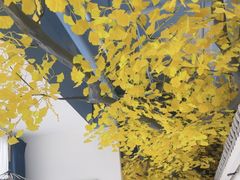 -食悦江南·淮扬菜·烤鸭(亚运村·惠新店)