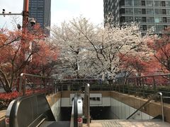 -衣裳街历史文化街区