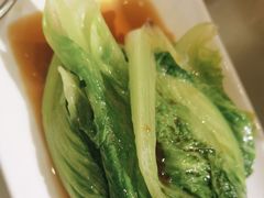 -金鼎轩(方庄天坛店)