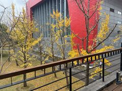 -中国浦东干部学院