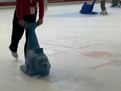 -TheRink大零溜冰场(IFS国金中心店)