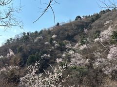 -北京鹫峰国家森林公园