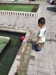 -上美四季动物农场