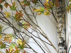 -憨老頭凉皮融合简餐(双山里店)