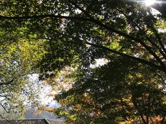 -浙江宾馆·花园餐厅·自助餐厅·茶吧