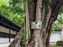 -苏州文庙(姑苏区)